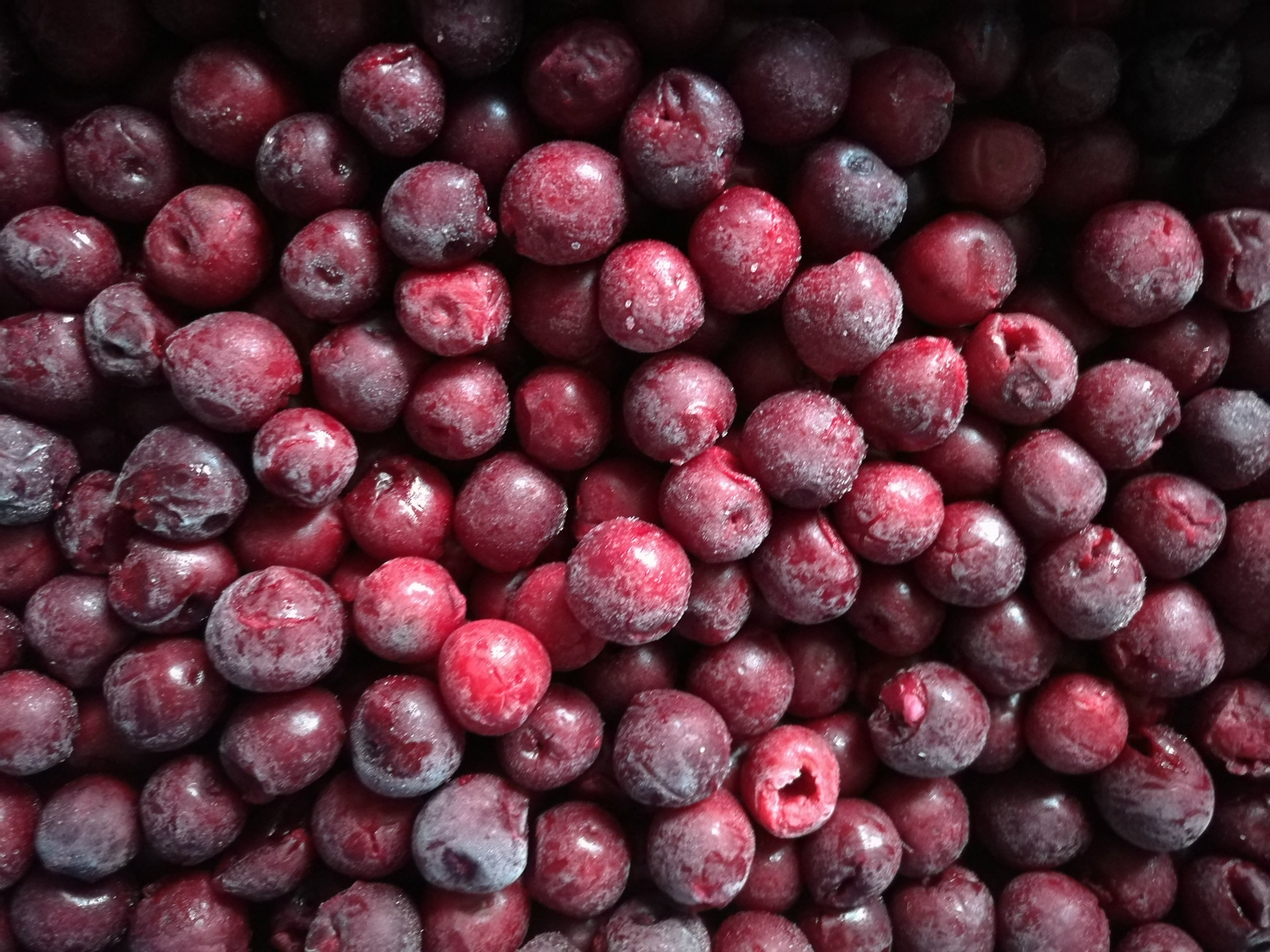 现货销售进口冷冻欧洲酸樱桃,红加仑,黑加仑 批发 去核樱桃