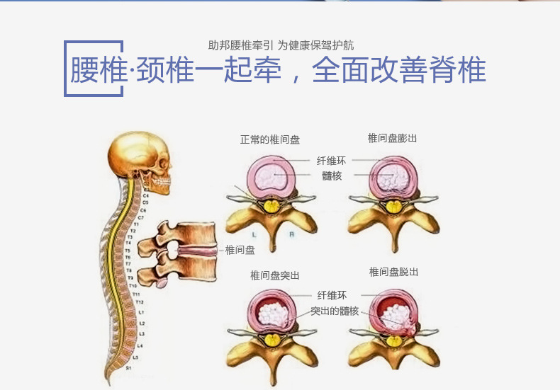 助邦b03-2 颈腰椎牵引器 腰部牵引器 腰椎病拉伸器 颈腰架腰牵器