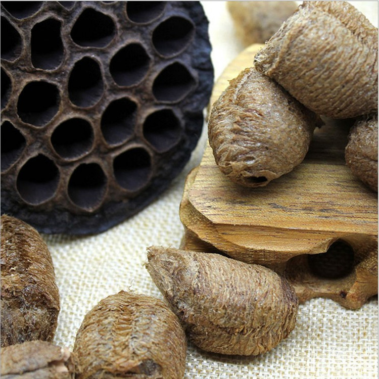 中药材批发 桑螵蛸 螵蛸 螳螂子 纯干货 正品批发 量大价优