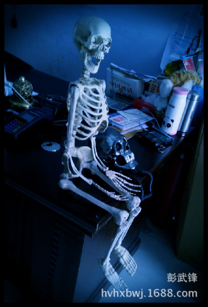鬼屋密室道具 万圣节吊鬼恐怖装饰仿真人体骨骼恶搞道具塑 骷髅人