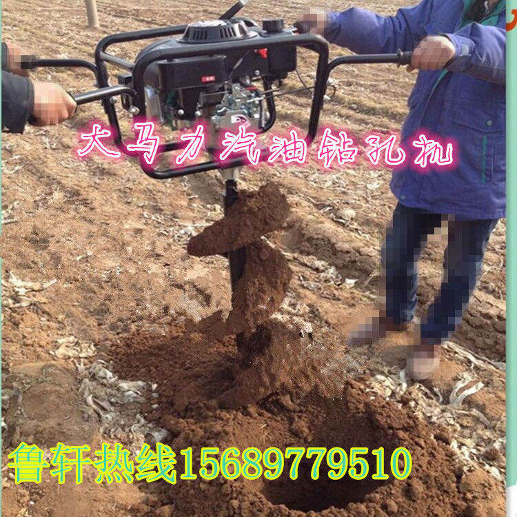 QQ�DƬ20151228095826_����