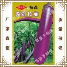 蔬菜种子厂家直售批零菜园大田基地大棚种植 持选紫红长茄