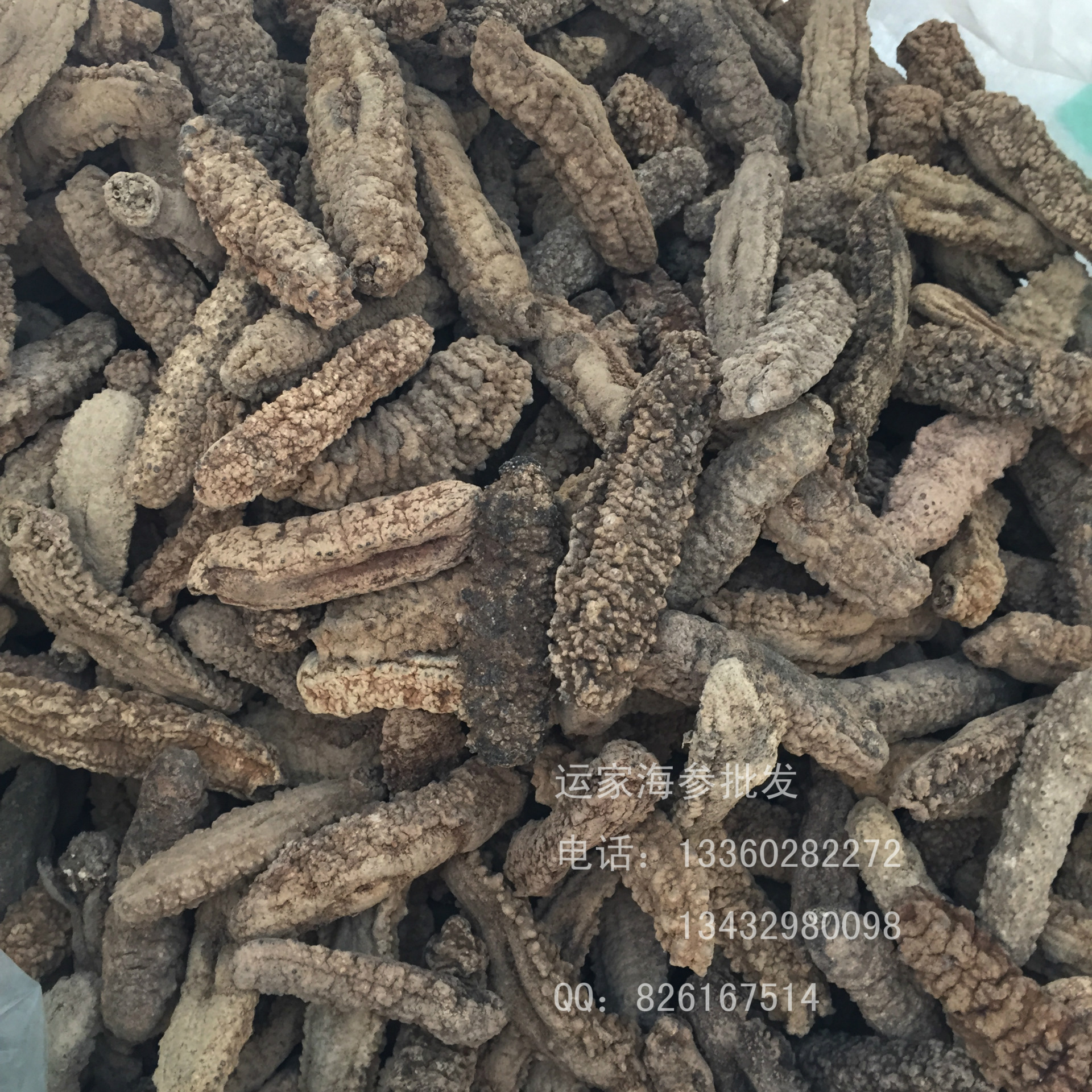 黄玉参批发菲律宾黄玉参猪母黄玉参黄肉参 26头9.9成干淡.