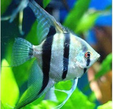 WWWRRCARCOM报价,苍井空全祼艺术的越野性能,姐姐的原味内裤痕迹高清图片