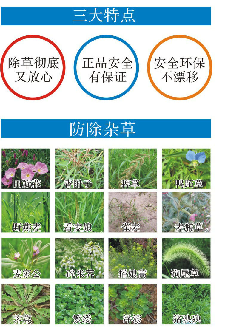 黄芩除草剂说明3