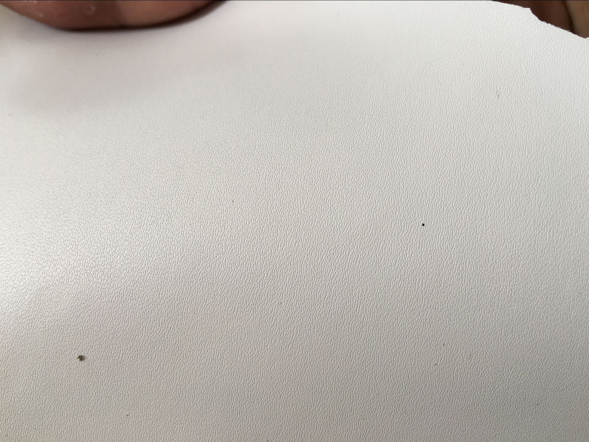 二层白色牛皮二层牛皮真皮皮料面料皮革白色100纹