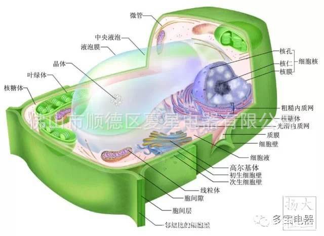 加热破壁机家用多功能破壁料理机豆浆机工厂