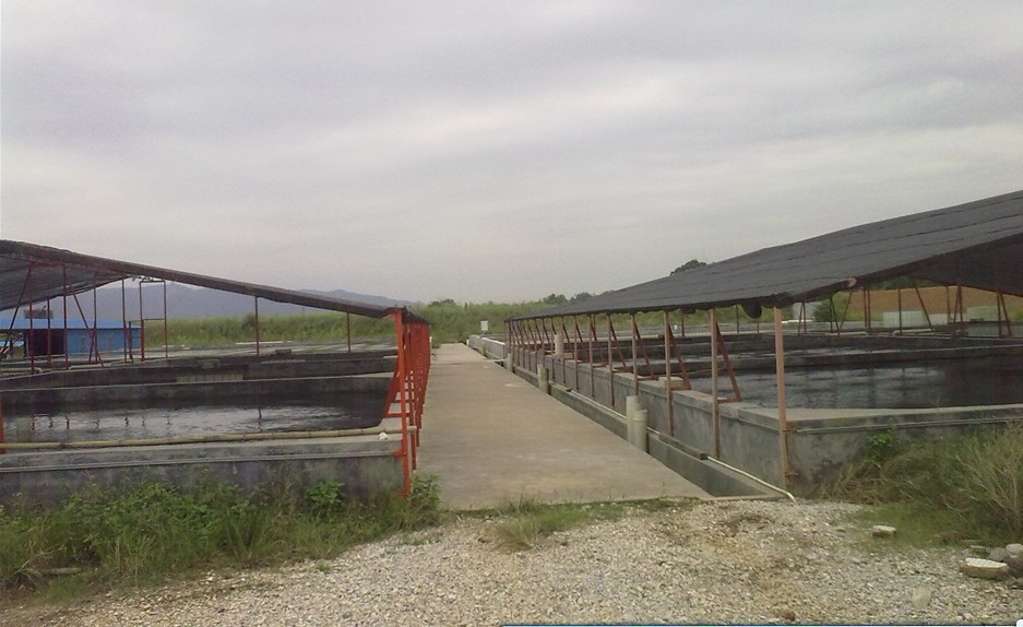 打针电视剧_打针电视剧供应商_打针电视剧批