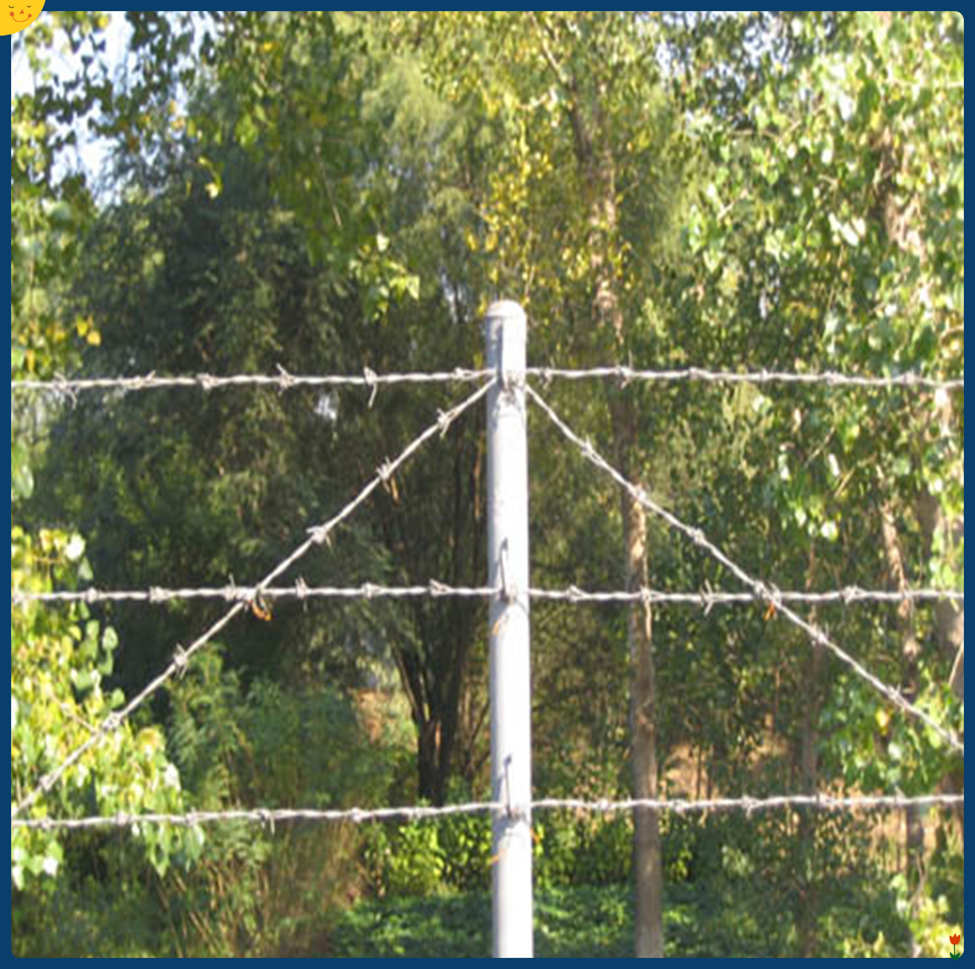 本厂批发 刺线 刺绳 铁蒺藜 双股刺线 14# 12# 规格齐全 zcdz