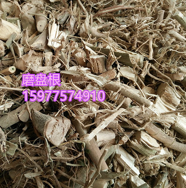 野生磨盘根 磨盘草根 磨盆根 磨盆草根帽仔盾头
