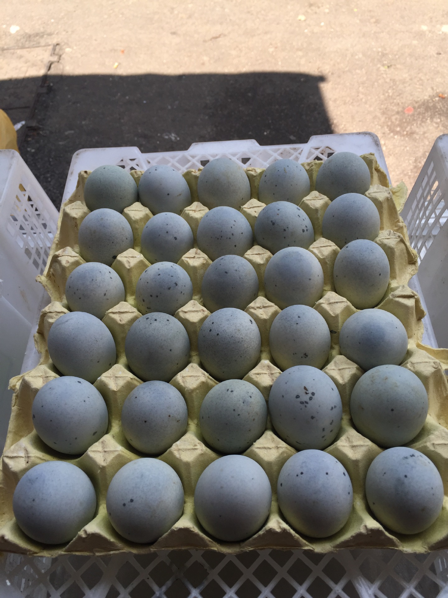 益掦松花无铅皮蛋,散装皮蛋,松花皮蛋,绿色食品,蛋制品