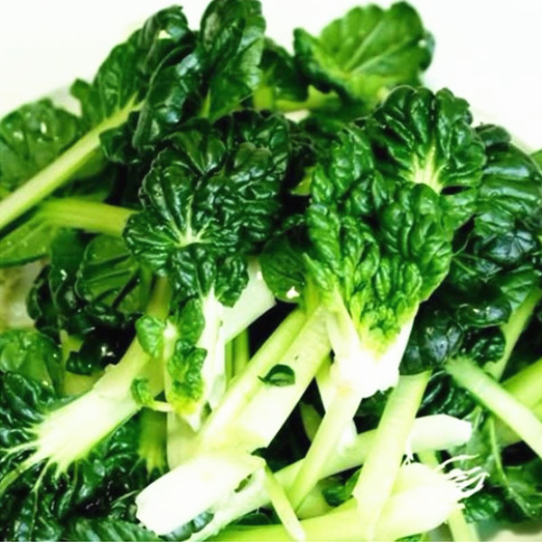 盆栽蔬菜乌塌菜种子 小白菜种子非转基因蔬菜 耐寒黑心乌塔菜种子