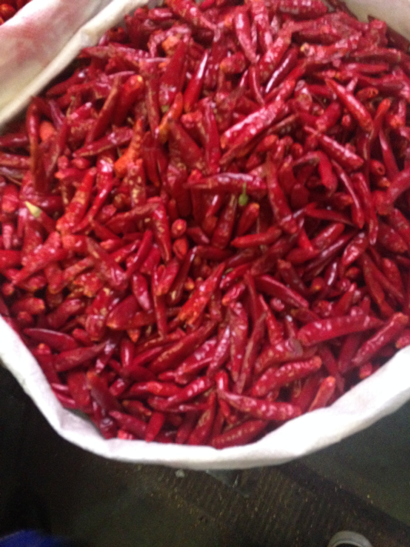 包邮贵州遵义特产务川中辣红辣椒干辣椒红海椒干海椒1000g