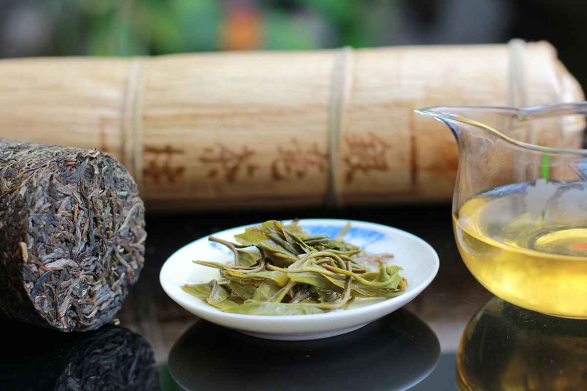 批发 云南普洱茶 银毫普洱茶 大树生茶 银毫茶柱 1000g 大树茶叶