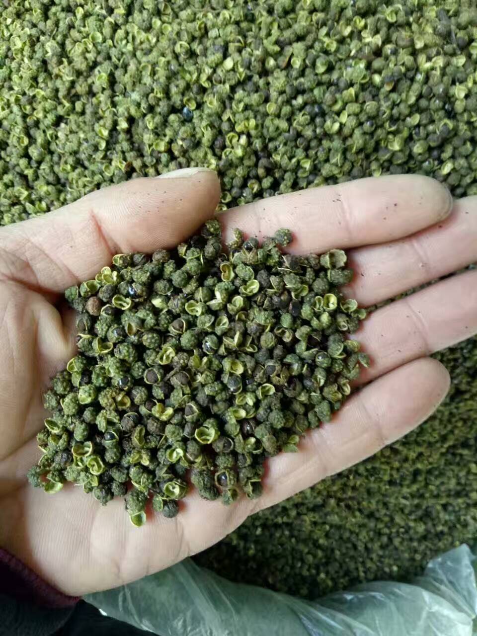 绿色四川花椒天然无污染 大量花椒求订购