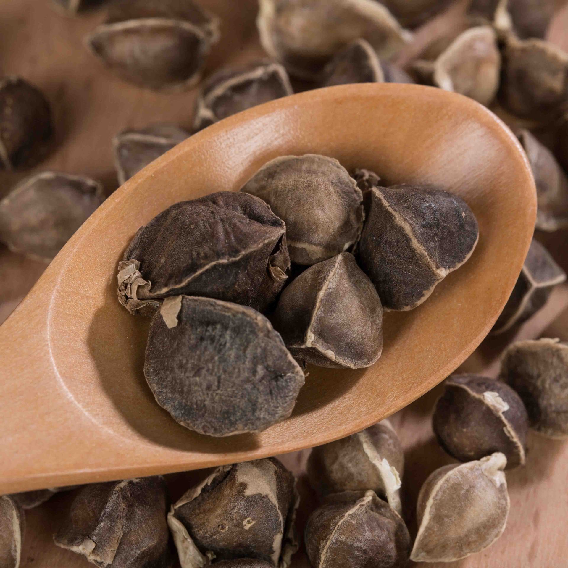 天麻产业网 天麻供应 批发正品印度进口辣木籽散装包邮