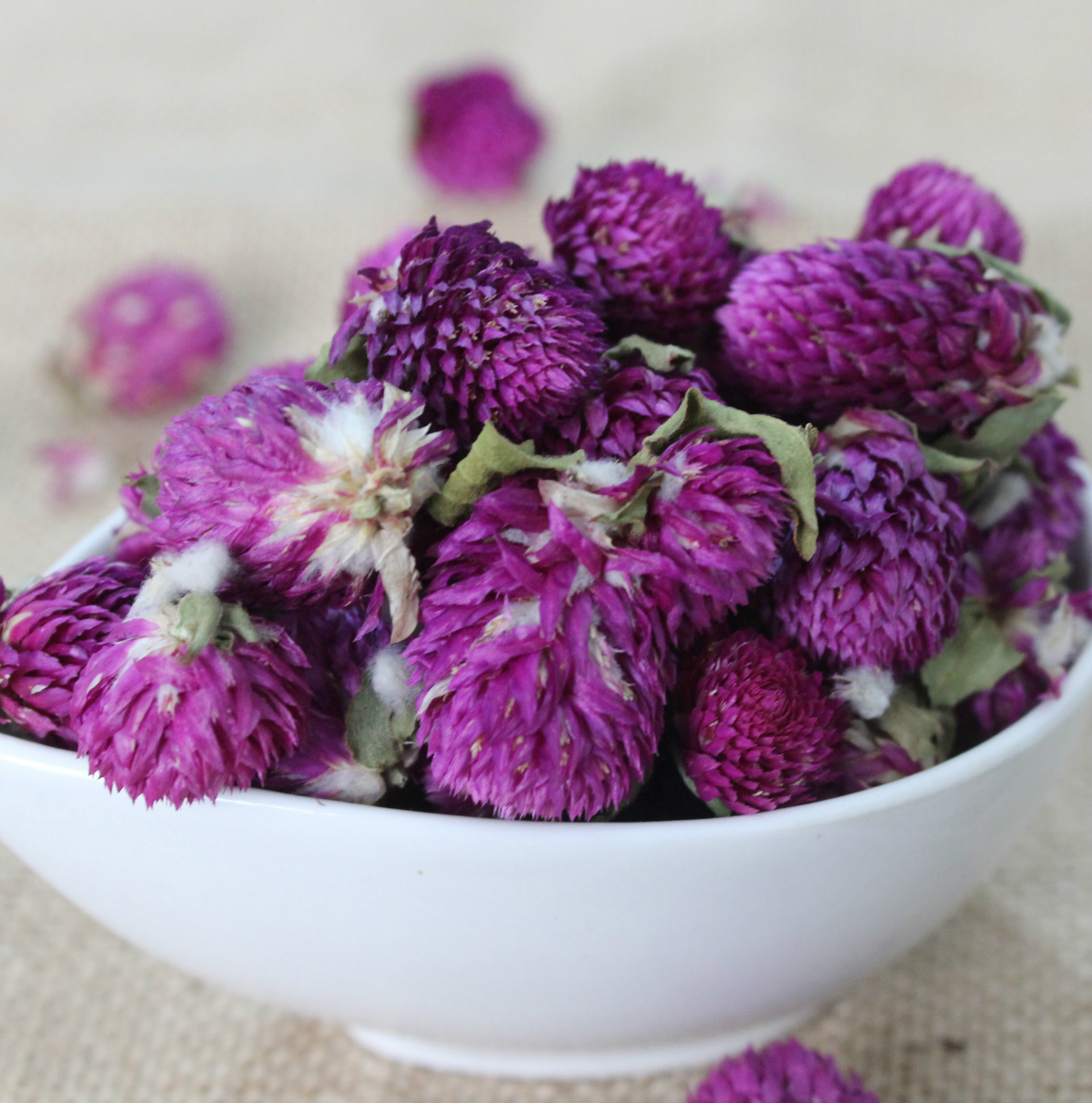 批发销售 千日红 千日紫 色优货干 美容养颜 清肝明目