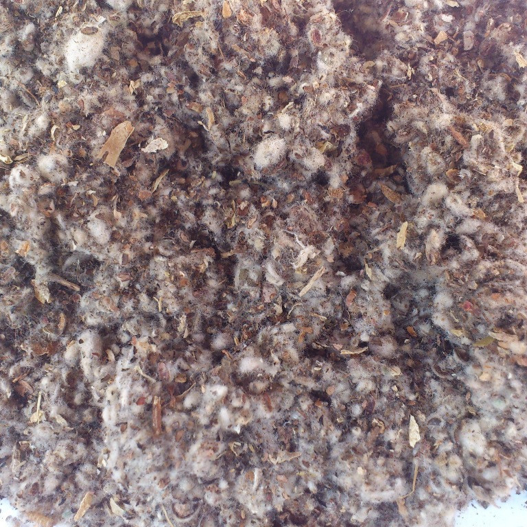 生产供应棉仔壳棉壳长绒棉籽壳中绒短绒棉籽壳