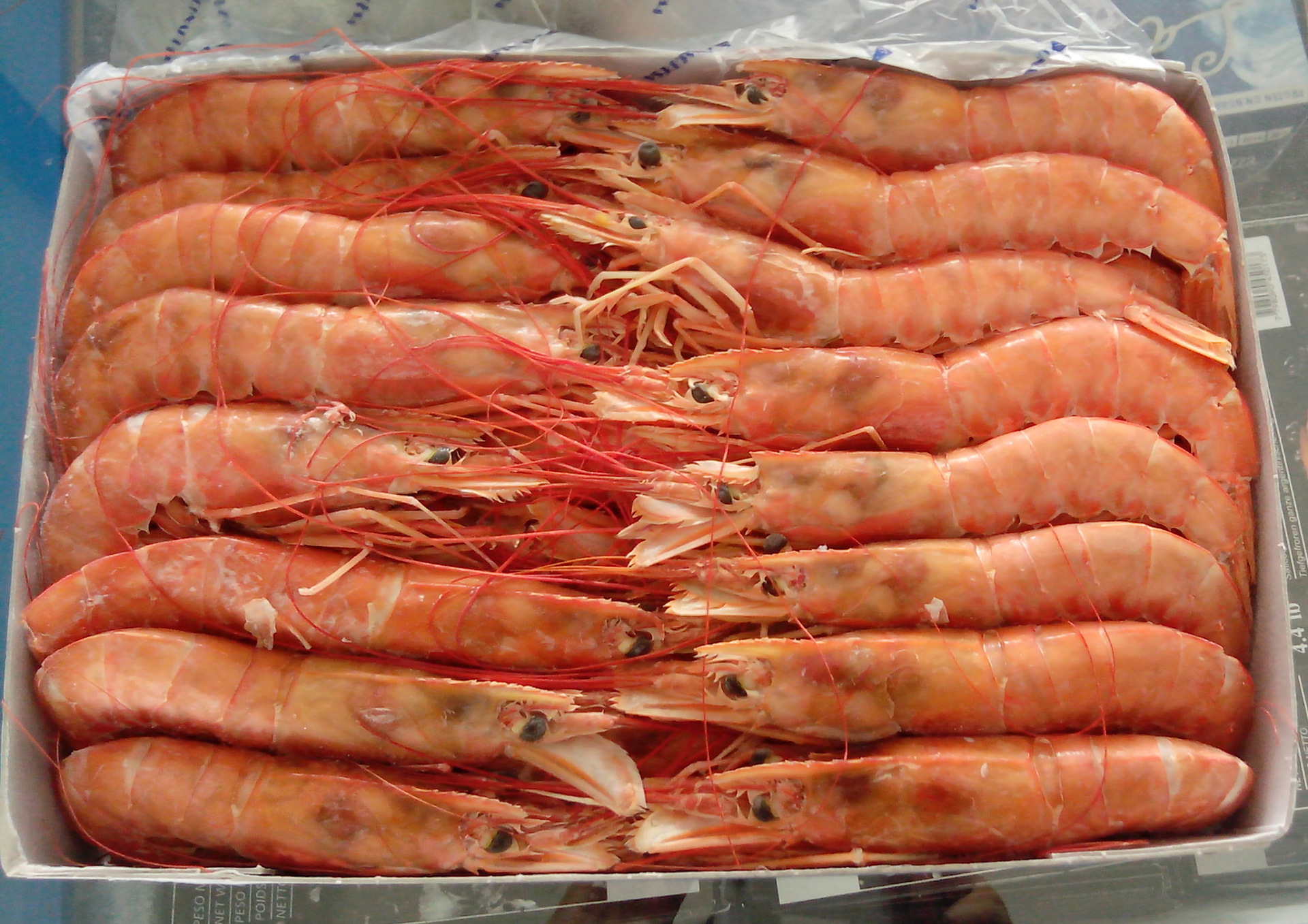 19年9月到港新货正关进口 阿根廷红虾批发l3 2kg海鲜水产一手货源