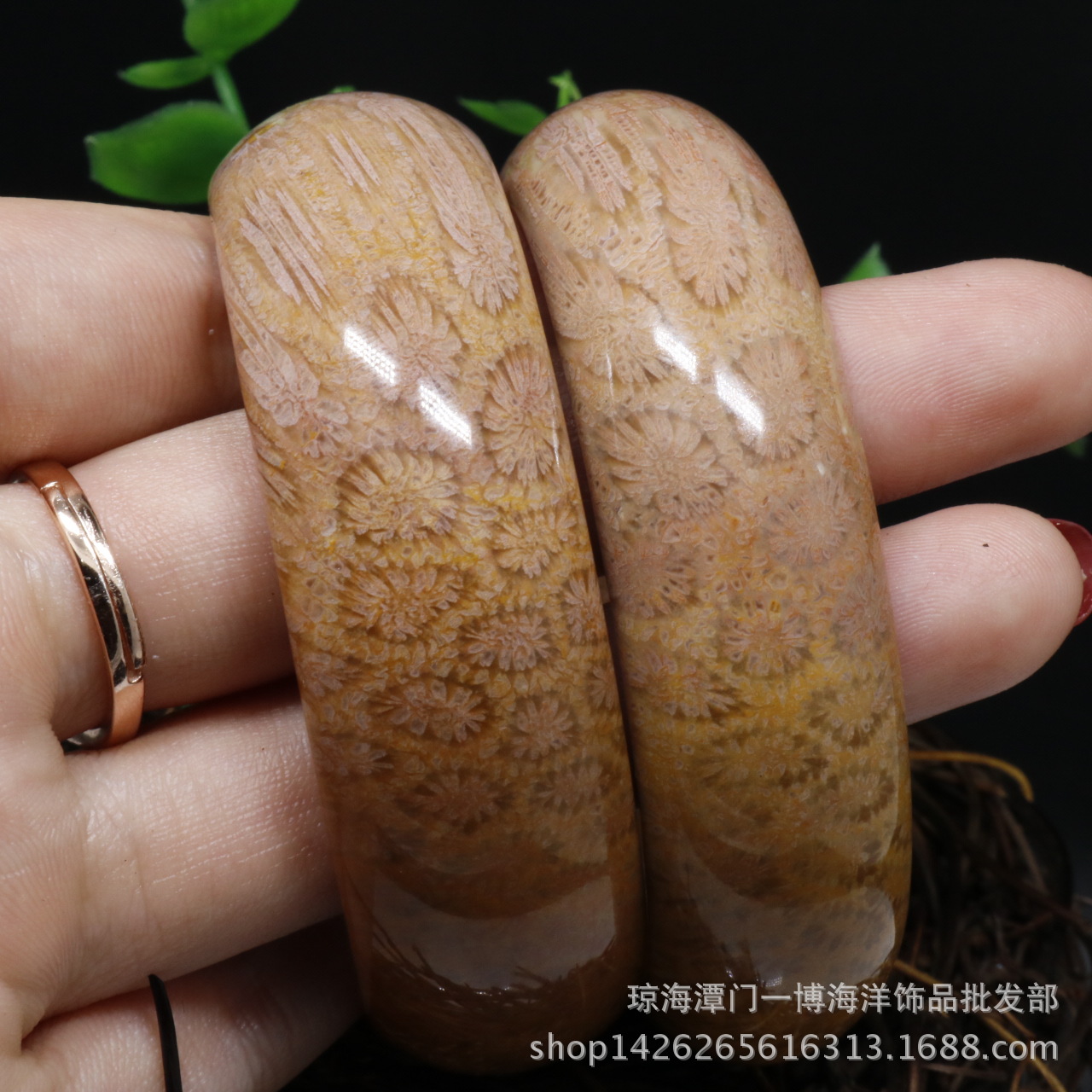 批发天然菊花石手镯高档珊瑚玉手镯多彩珊瑚虫化石内径5262mm