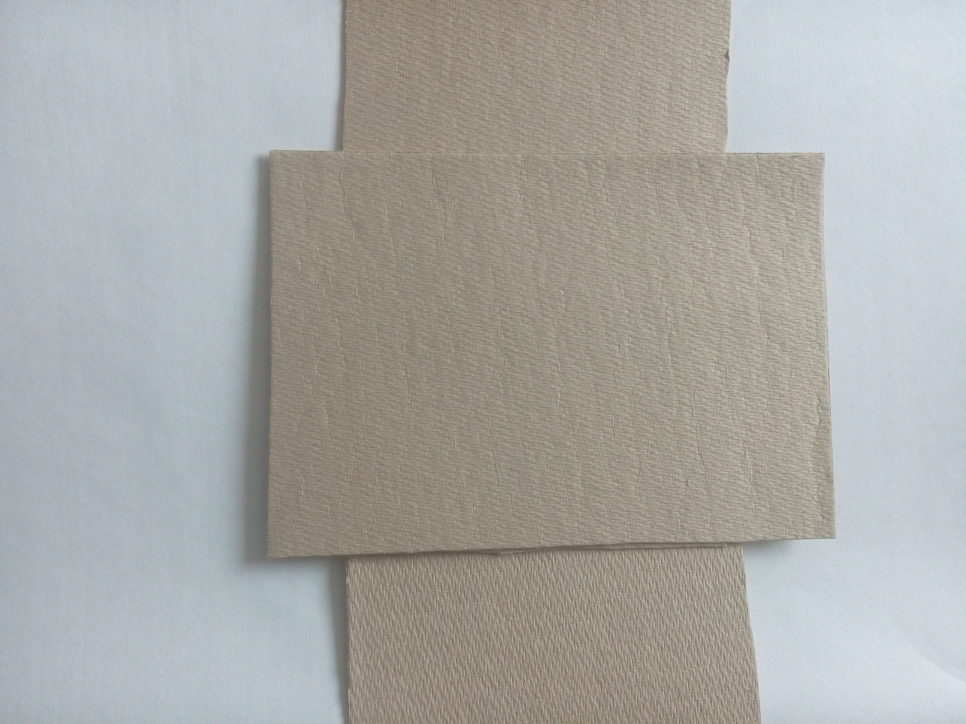 用于生产绘画纸的本色龙须草浆