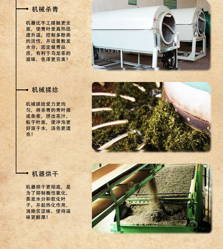 东方美人茶m4有机生态茶叶500g台湾乌龙茶厂家直销阿里山高山茶