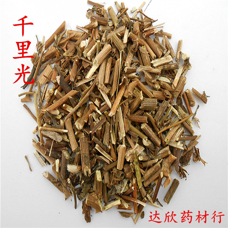 批发供应冷背中药材千里光量大从优
