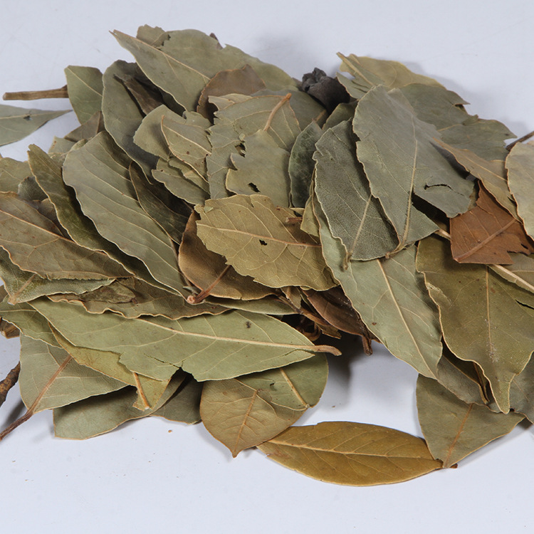香叶优质月桂叶卤水料川菜炖肉 香叶调料调味香料