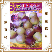 深研555彩椒F1   喜良种苗公司直售批零大田基地种植蔬菜种子
