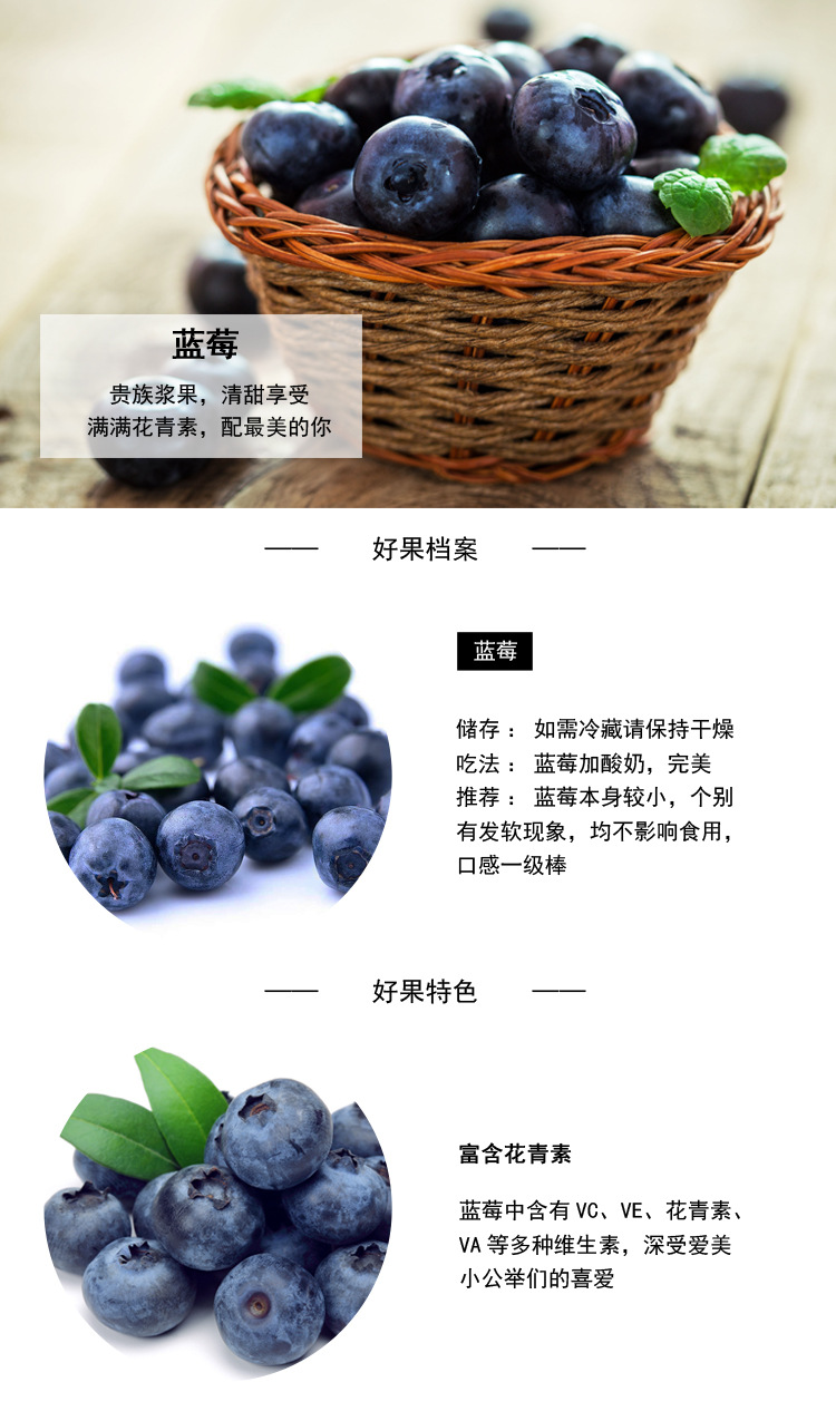 酷派蓝莓品种介绍图片