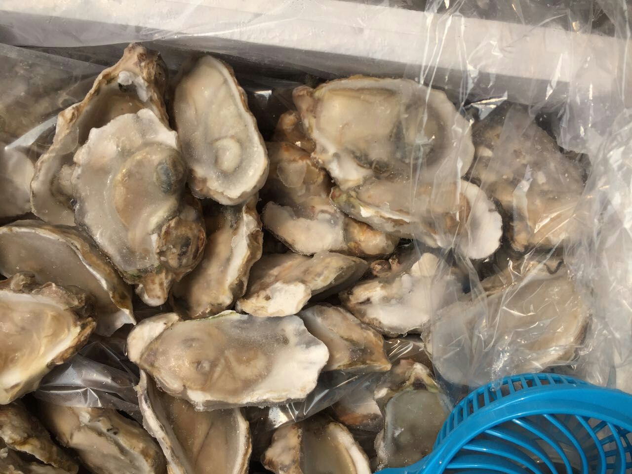新鲜冷冻半壳生蚝肉水产海鲜即食生蚝