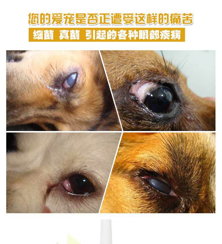 新宠之康宠物洗眼液对猫犬眼部消炎清洁护理有去泪痕作用