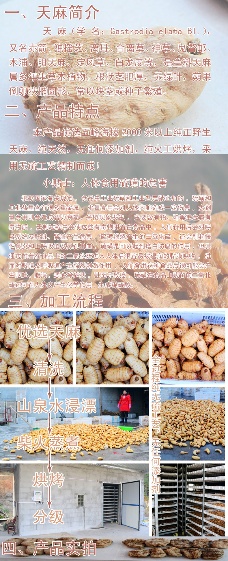 五峰纯正高山无硫无添加剂野生天麻红麻特级板麻100g