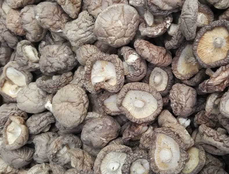 香菇一级光面菇香姑散装批发干香菇干货批发花菇干货农产品