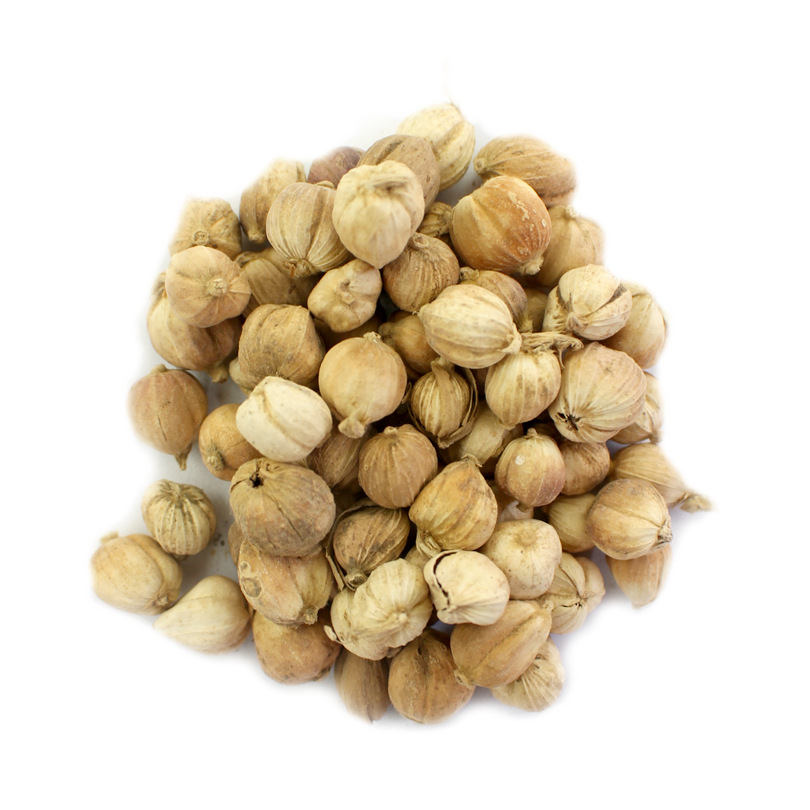 白豆蔻 白蔻仁 白寇 白叩 调料香料 调味品 卤料川料