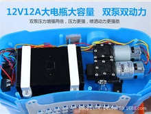 厂家直销 电动喷雾器双泵12V12A 隔膜泵 自吸泵 智能双核泵