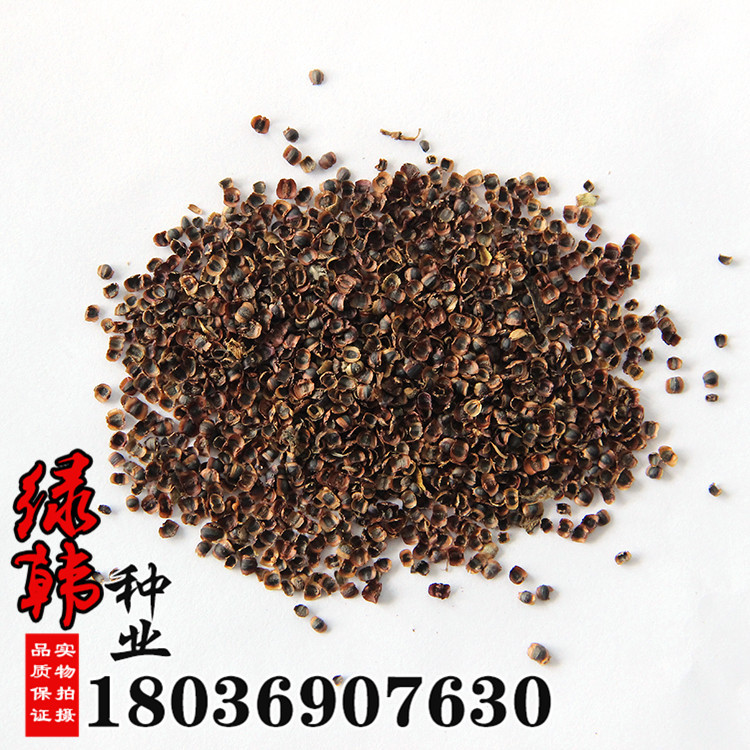 批发优质草本花卉种子 金鸡菊种子 耐寒耐旱 发芽率高 景观花卉