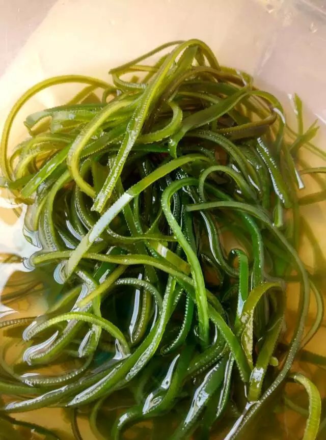 特级烘干海带丝干货 盐渍海带地摊货源热卖