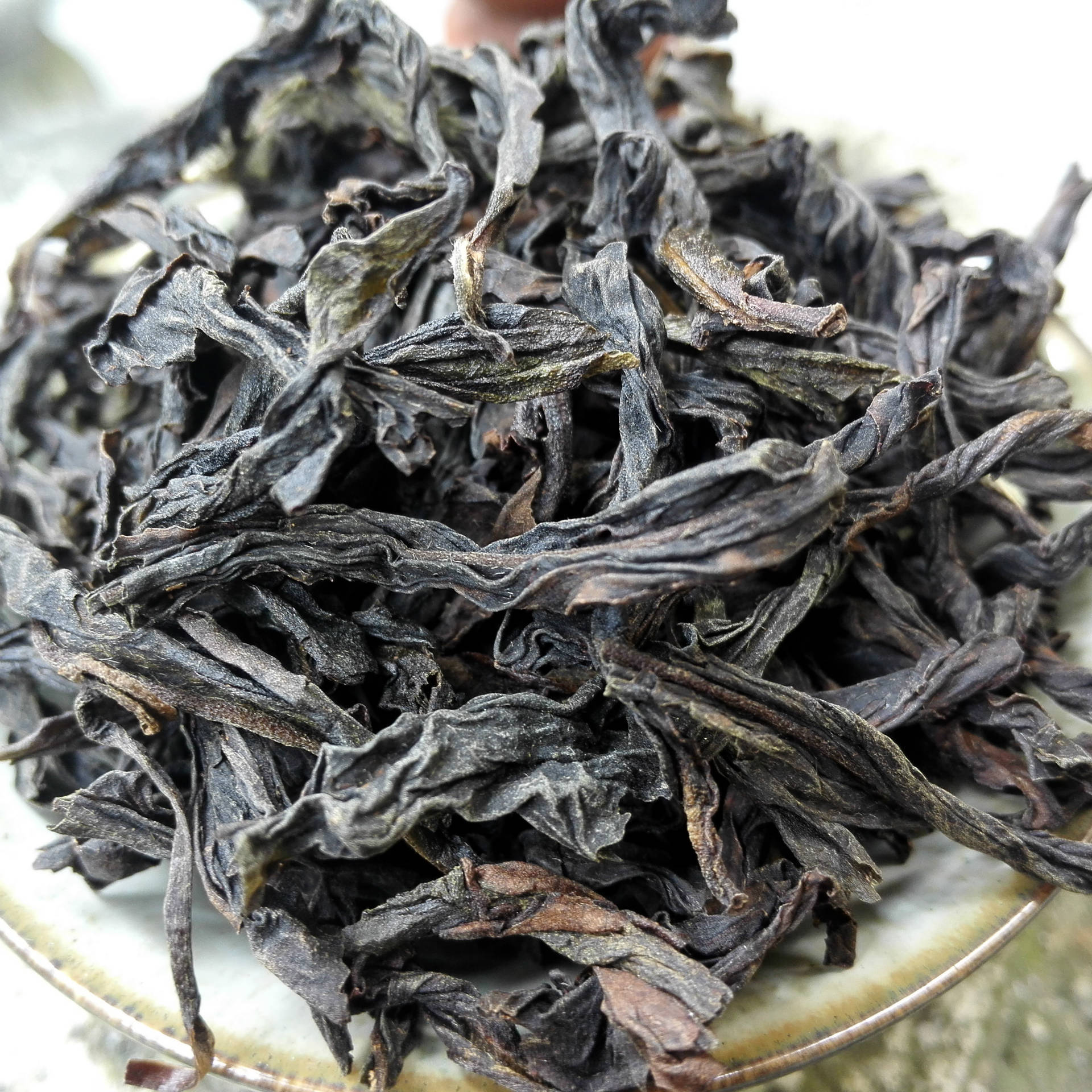 武夷岩茶老枞图片