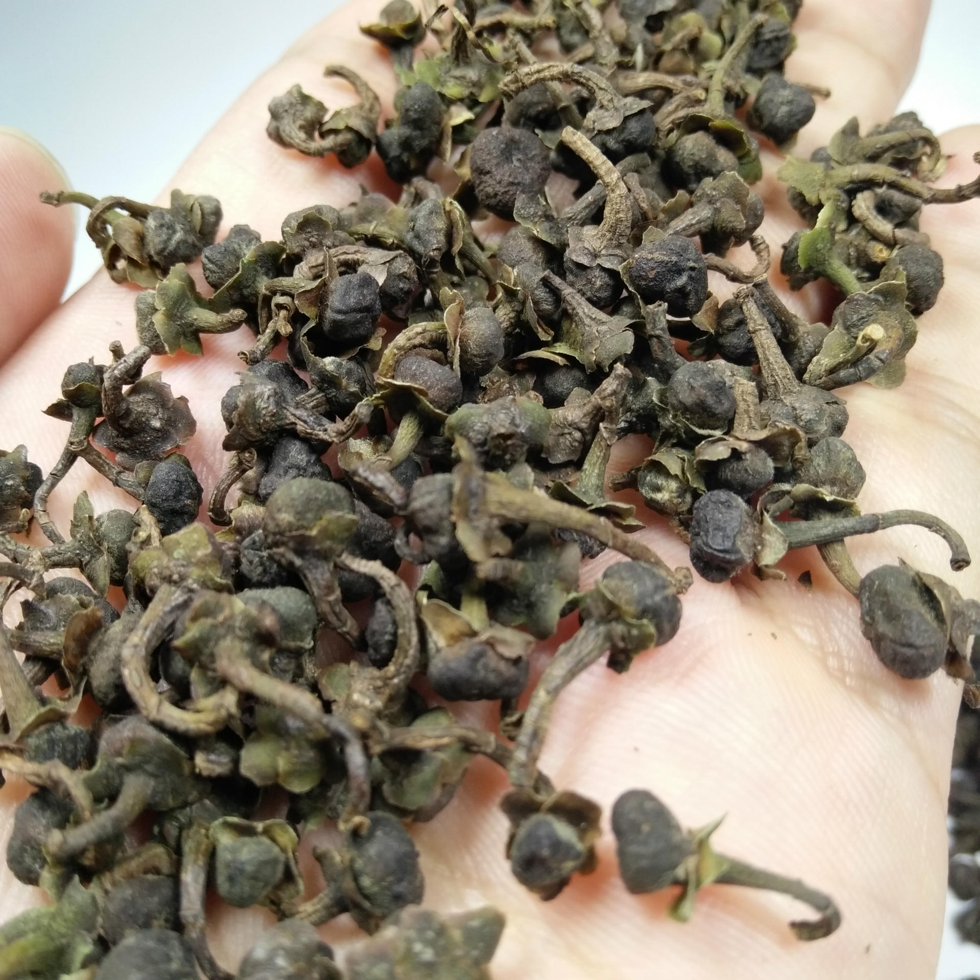 福鼎白茶原产地厂家直销500g福鼎白茶白茶籽