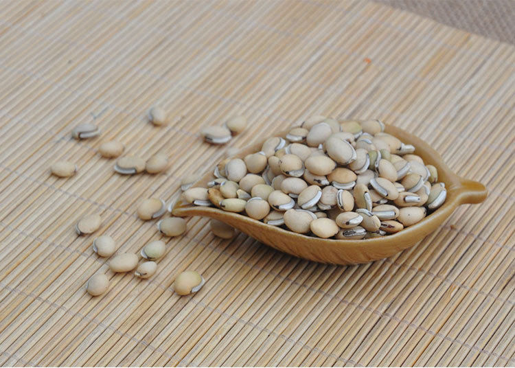 产地货源 云南特产白扁豆 精选药扁豆 滋补中药材 炖汤 出.
