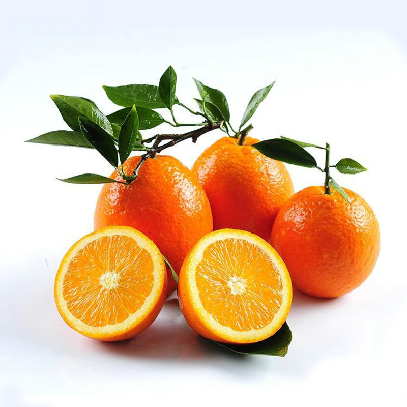 江西赣南无公害果园现摘鲜甜多汁大个脐橙5斤装 新鲜榨汁进口水果 - 