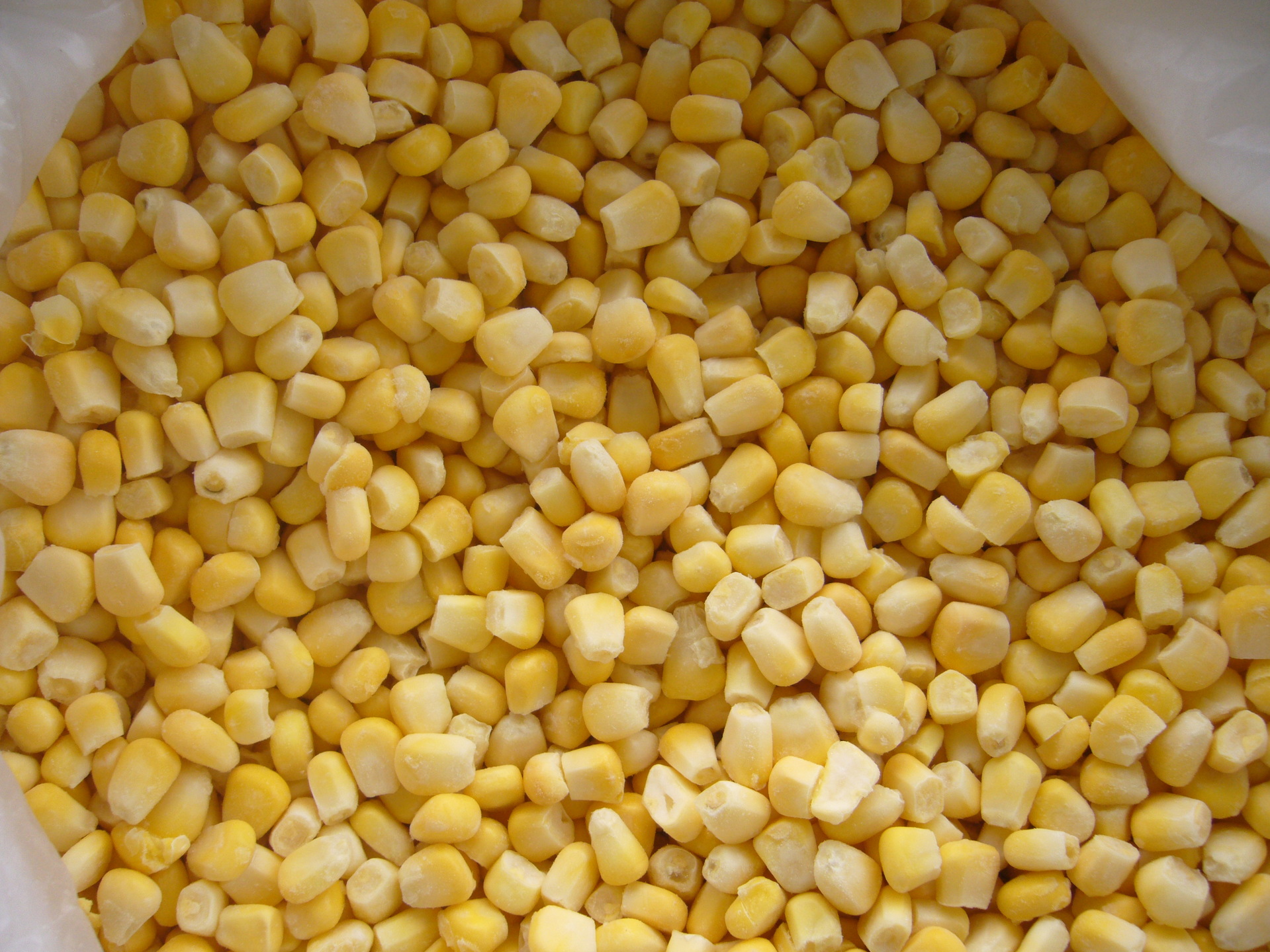 唐山金土地速冻甜玉米粒,新鲜超甜玉米粒