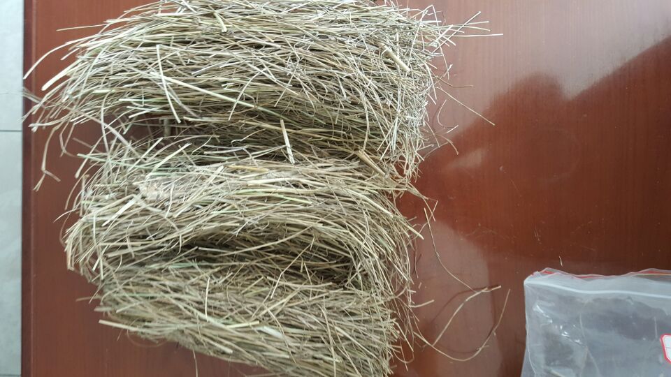 首页 纸业 纸浆 草浆 >可用于宣纸,书画纸的龙须草浆  收藏宝贝 价格