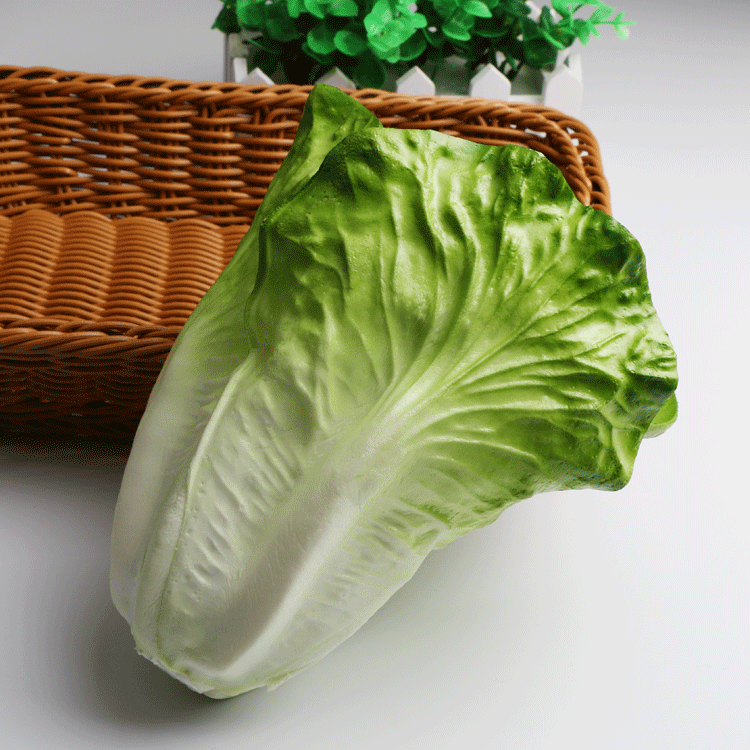 pu手感仿真植物假蔬菜白菜紫生菜批发礼品摆件模型早教拍摄用具