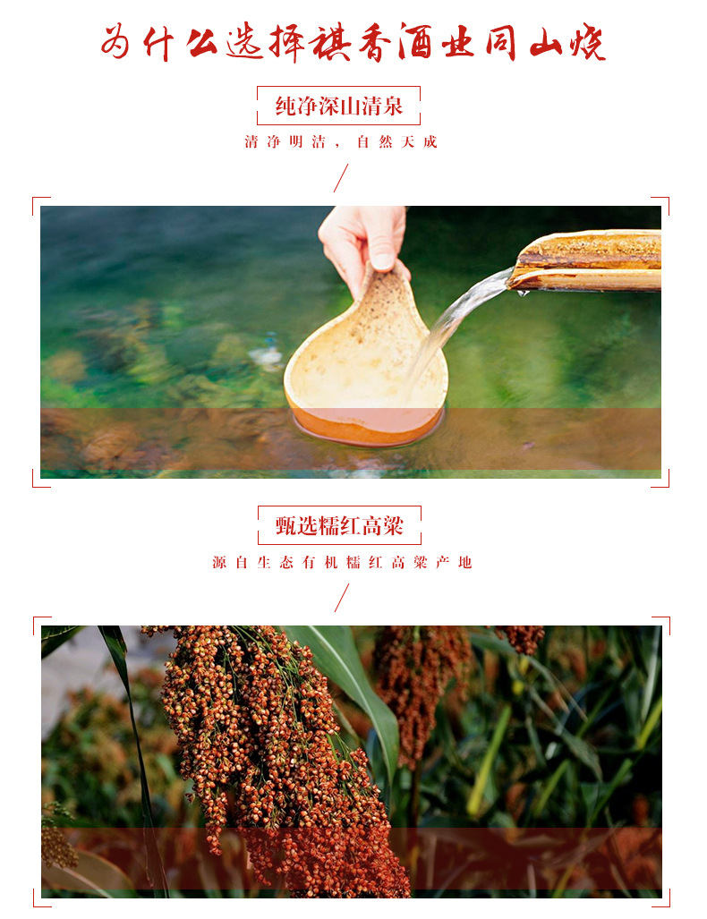 诸暨特产正宗祺香珍品同山烧高粱酒53祺香珍品礼盒清香型白酒