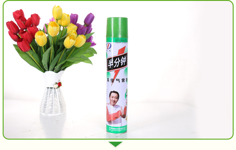 绿色半分钟 多年回购品牌 750ml芳杀虫气雾剂 驱蚊蝇蟑螂商超批发