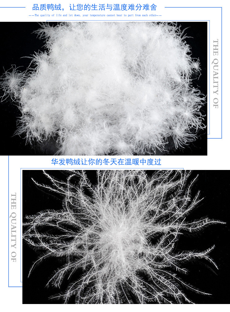 厂家热销新国标90白鸭绒 普白大朵保暖蓬松度好精品水洗90%羽绒-羽绒