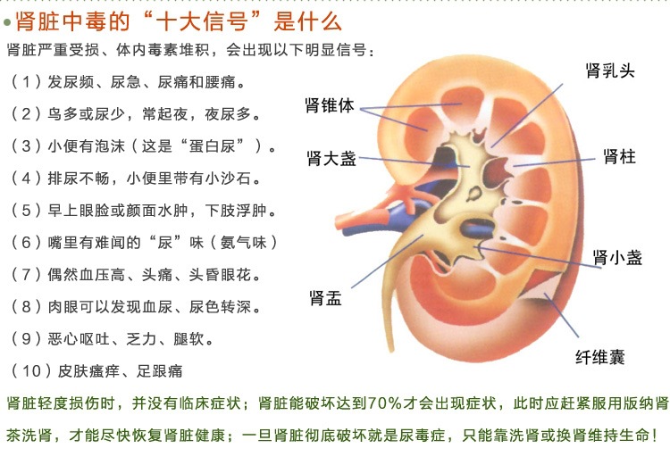 猫须草批发16年新货云南猫须草肾茶化石草养生茶祛痛风茶产地直供