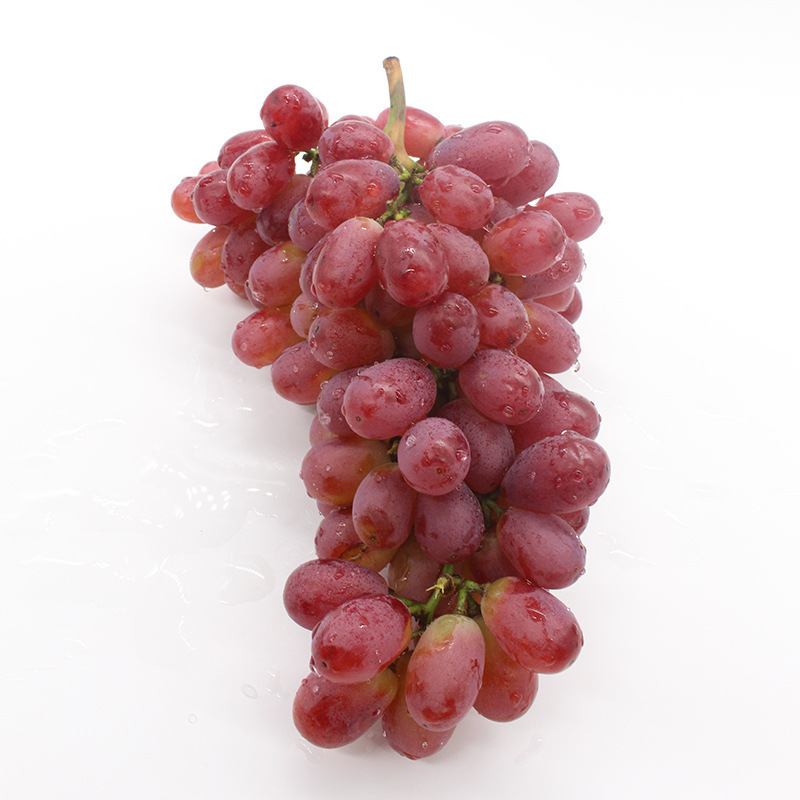 新鲜提子水果 无籽红提 甜爽脆的无籽提 批发 提子批发